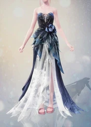 Midnight Roses