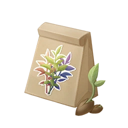 Fragrant Tea Seed