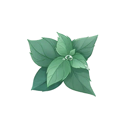 Summer Fragrance