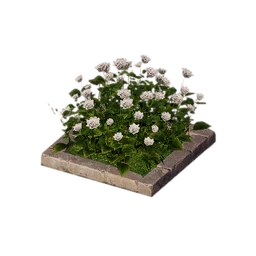 Rosy Dots Flowerbed