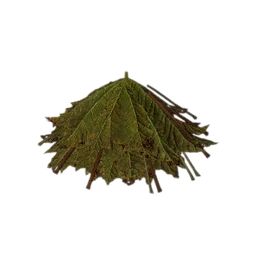 Pile of Leaves