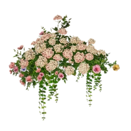 New Hope Blossom Vine