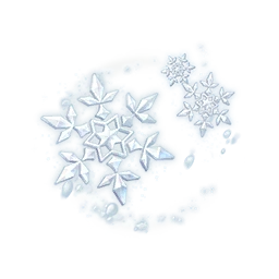 Melted Snow: Head