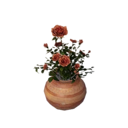 Simple Low Ceramic Flowerpot