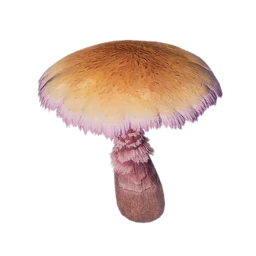 Sunlit Shroom