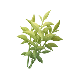 Verdant Fragrant Tea
