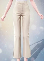 Sleek Pants