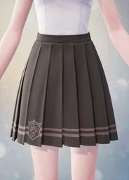 Neat Pleats