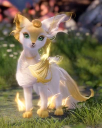 Dawn Fox