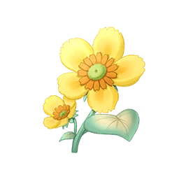 Wild Daisy