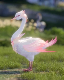 Rosecrown Swan