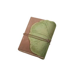Nikki's Clue Notebook