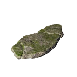 Stone Step
