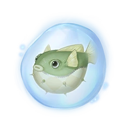 Pin-Belly Essence