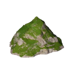 Peak