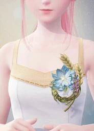 Silvergale's Blessing