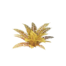Low Fern Bush
