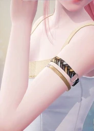 Elastic Armband: Concealed Night