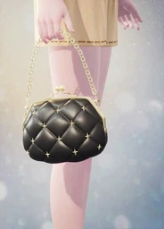 Midnight Purse