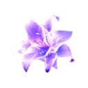 Illusibloom Whisper