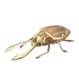 Tailor Beetle