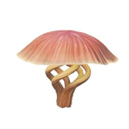 Dreamweaver Shroom