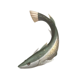 Carver Fish