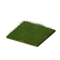 Lawn