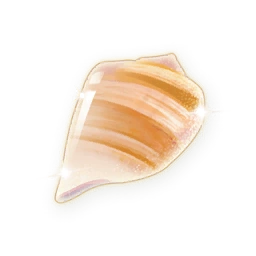 Little Sparkling Shell Crystal