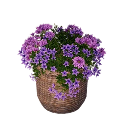 Round Rattan Basket