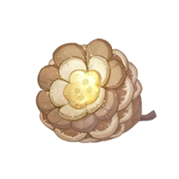 Buttoncone