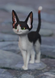Browcat