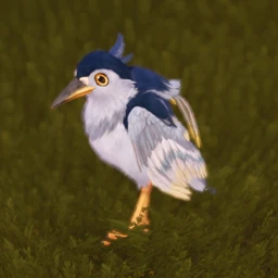 Night Heron Wanderer