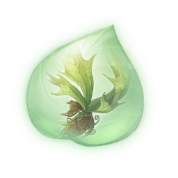 Knotted Fern Essence