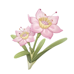 Needlepistil Daffodil