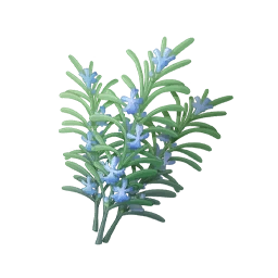 Refreshing Aromasprig