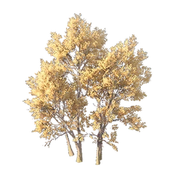 Sparse-Leaf Tree
