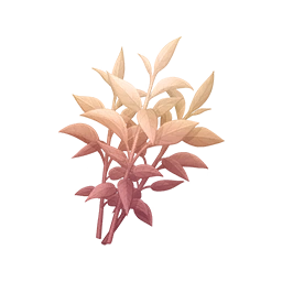 Vibrant Fragrant Tea