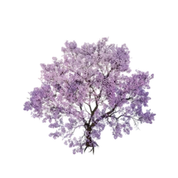 Pink Cloud Tree