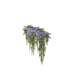 Purple Vine