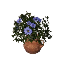 Ear-Handled Vase