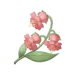 Blossom Essence