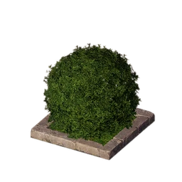 Topiary Shrub