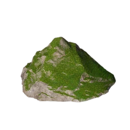 Ridge