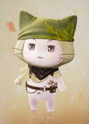 Momo's Cloak: Wind Shuttle
