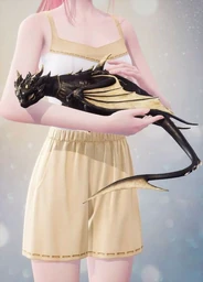 Wondrous Gift