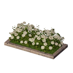Rosy Clouds Flowerbed