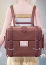 Pink-Brown Backpack