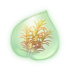 Turmeric Aromasprig Essence