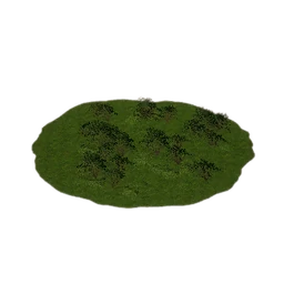 Sparse Woodland Slope